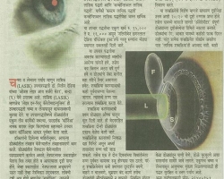 article-6
