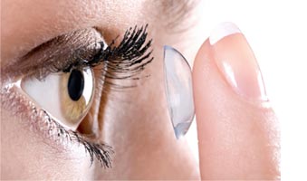 Daily wear soft contact lenses