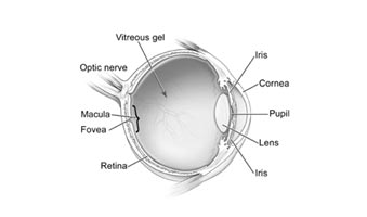 Cataract treatment in mumbai