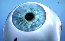 cataract surgery by Phacoemulsification